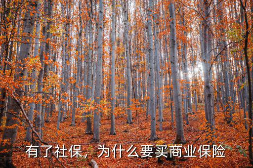 有了社保，為什么要買商業(yè)保險