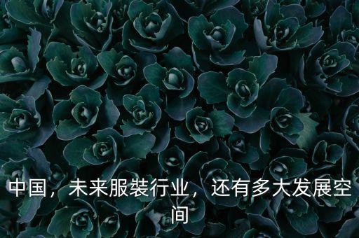 中國(guó)，未來服裝行業(yè)，還有多大發(fā)展空間