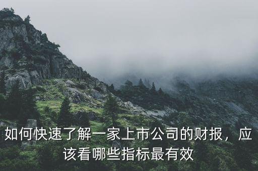 如何快速了解一家上市公司的財報，應該看哪些指標最有效
