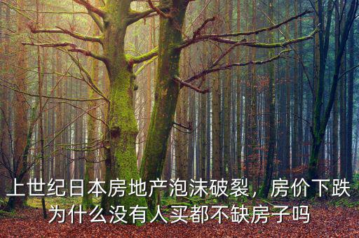 上世紀(jì)日本房地產(chǎn)泡沫破裂，房?jī)r(jià)下跌為什么沒(méi)有人買都不缺房子嗎