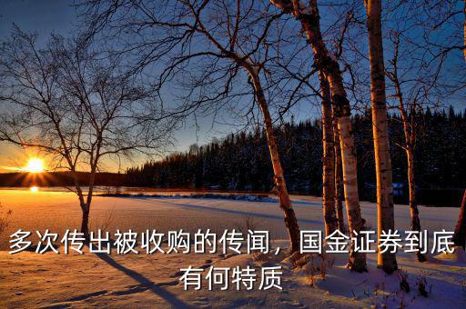 多次傳出被收購(gòu)的傳聞，國(guó)金證券到底有何特質(zhì)