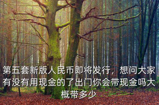 第五套新版人民幣即將發(fā)行，想問(wèn)大家有沒(méi)有用現(xiàn)金的了出門你會(huì)帶現(xiàn)金嗎大概帶多少