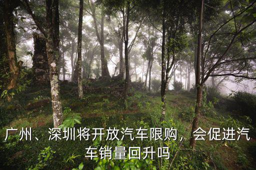 廣州、深圳將開放汽車限購，會促進汽車銷量回升嗎
