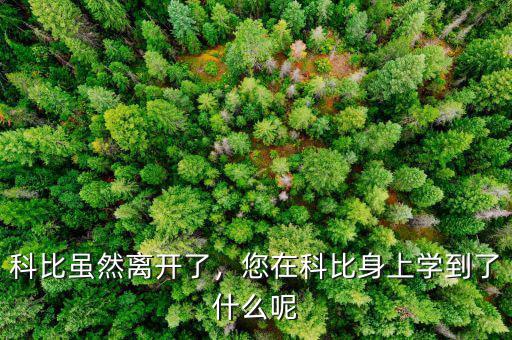 科比雖然離開了，您在科比身上學(xué)到了什么呢