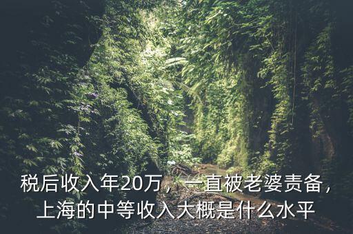 稅后收入年20萬(wàn)，一直被老婆責(zé)備，上海的中等收入大概是什么水平