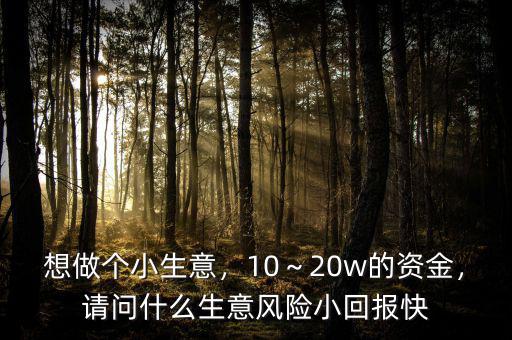 想做個小生意，10～20w的資金，請問什么生意風(fēng)險小回報快
