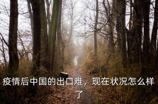 疫情后中國的出口難，現(xiàn)在狀況怎么樣了