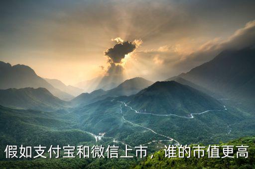 假如支付寶和微信上市，誰的市值更高