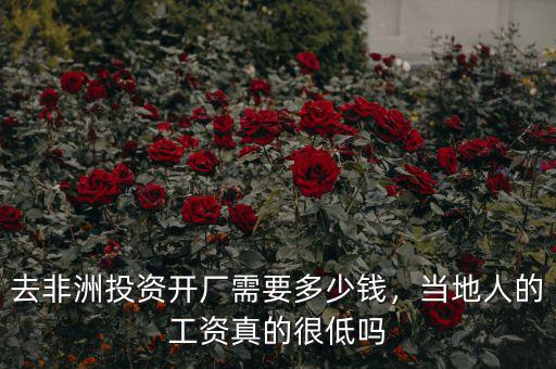 去非洲投資開廠需要多少錢，當(dāng)?shù)厝说墓べY真的很低嗎