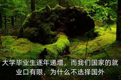 大學畢業(yè)生逐年遞增，而我們國家的就業(yè)口有限，為什么不選擇國外