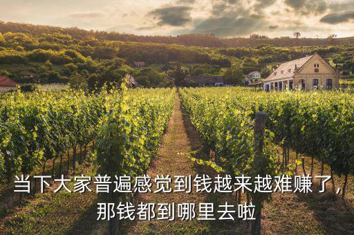 當(dāng)下大家普遍感覺到錢越來越難賺了，那錢都到哪里去啦