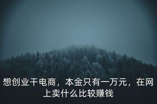 想創(chuàng)業(yè)干電商，本金只有一萬元，在網(wǎng)上賣什么比較賺錢