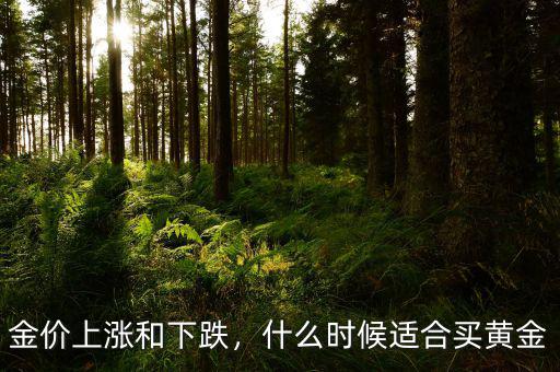金價上漲和下跌，什么時候適合買黃金