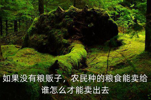 如果沒有糧販子，農(nóng)民種的糧食能賣給誰怎么才能賣出去