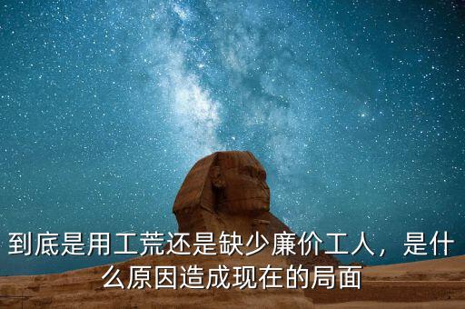 到底是用工荒還是缺少廉價工人，是什么原因造成現(xiàn)在的局面