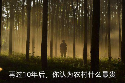 再過10年后，你認(rèn)為農(nóng)村什么最貴
