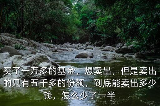 買了一萬多的基金，想賣出，但是賣出的只有五千多的份額，到底能賣出多少錢，怎么少了一半