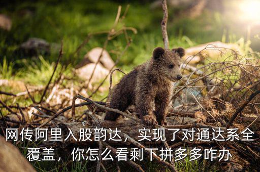 網(wǎng)傳阿里入股韻達(dá)，實現(xiàn)了對通達(dá)系全覆蓋，你怎么看剩下拼多多咋辦