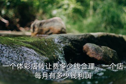 一個(gè)體彩店轉(zhuǎn)讓費(fèi)多少錢合理，一個(gè)店每月有多少錢利潤(rùn)