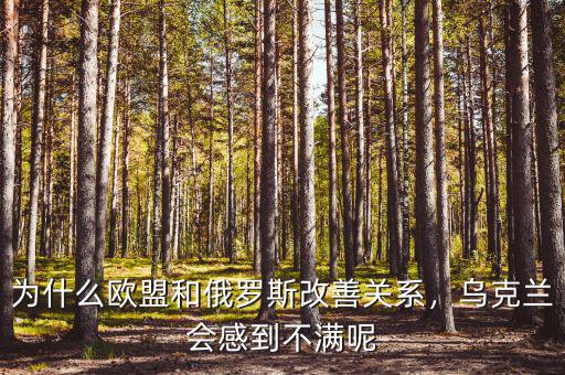 烏克蘭為什么對俄羅斯不滿,烏克蘭會(huì)感到不滿呢