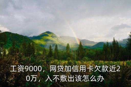 工資9000，網(wǎng)貸加信用卡欠款近20萬(wàn)，入不敷出該怎么辦
