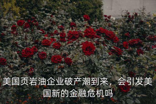 美國頁巖油企業(yè)破產(chǎn)潮到來，會引發(fā)美國新的金融危機(jī)嗎
