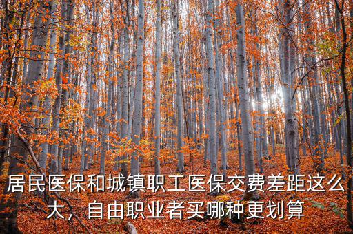 居民醫(yī)保和城鎮(zhèn)職工醫(yī)保交費差距這么大，自由職業(yè)者買哪種更劃算
