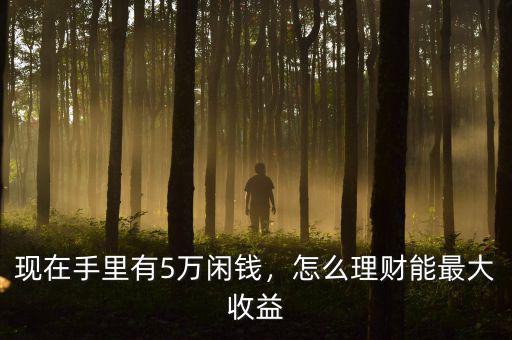 現在手里有5萬閑錢，怎么理財能最大收益