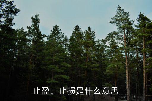 止盈、止損是什么意思