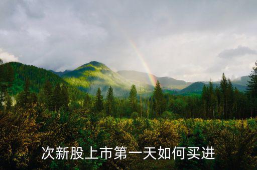 次新股上市第一天如何買(mǎi)進(jìn)