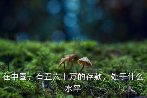 在中國(guó)，有五六十萬(wàn)的存款，處于什么水平