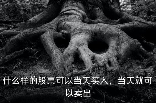 什么樣的股票可以當(dāng)天買入，當(dāng)天就可以賣出