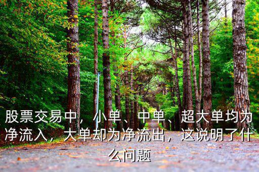 股票交易中，小單、中單、超大單均為凈流入，大單卻為凈流出，這說明了什么問題
