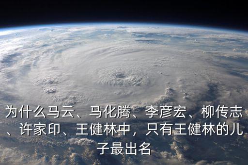 為什么馬云、馬化騰、李彥宏、柳傳志、許家印、王健林中，只有王健林的兒子最出名