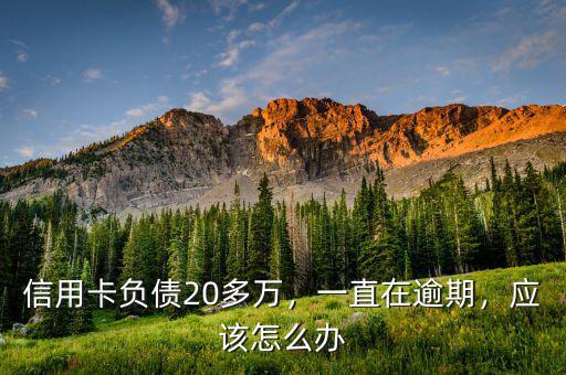 信用卡負(fù)債20多萬，一直在逾期，應(yīng)該怎么辦