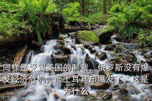同樣是受到美國的制裁，俄羅斯沒有爆發(fā)經(jīng)濟(jì)危機(jī)，而土耳其卻爆發(fā)了，這是為什么