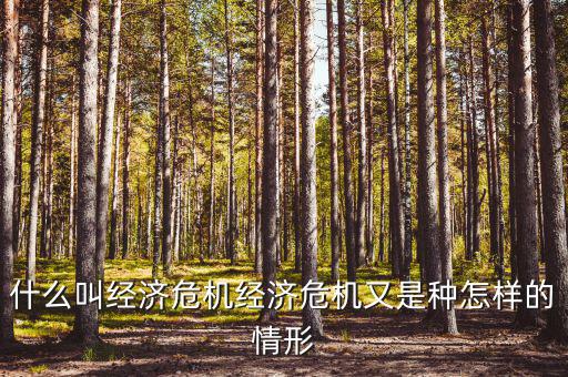 什么叫經(jīng)濟(jì)危機經(jīng)濟(jì)危機又是種怎樣的情形