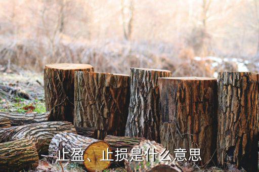 止盈、止損是什么意思
