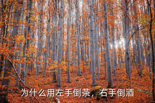 為什么用左手倒茶，右手倒酒