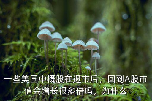 一些美國(guó)中概股在退市后，回到A股市值會(huì)增長(zhǎng)很多倍嗎，為什么