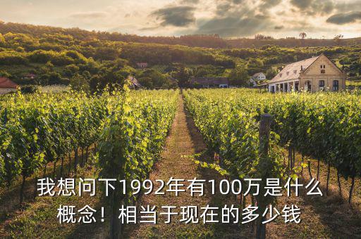 我想問下1992年有100萬是什么概念！相當于現(xiàn)在的多少錢