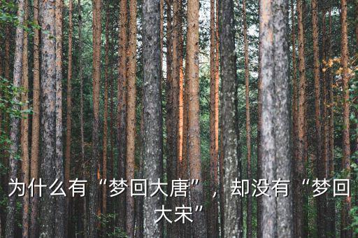 為什么有“夢(mèng)回大唐”，卻沒(méi)有“夢(mèng)回大宋”