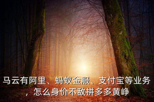 馬云有阿里、螞蟻金服、支付寶等業(yè)務(wù)，怎么身價(jià)不敵拼多多黃崢