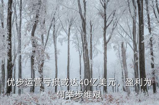 優(yōu)步運(yùn)營(yíng)虧損或達(dá)40億美元，盈利為何舉步維艱