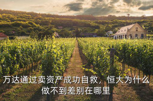 萬達通過賣資產成功自救，恒大為什么做不到差別在哪里