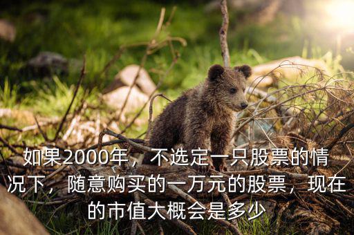如果2000年，不選定一只股票的情況下，隨意購買的一萬元的股票，現(xiàn)在的市值大概會(huì)是多少