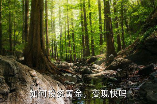 如何投資黃金，變現(xiàn)快嗎