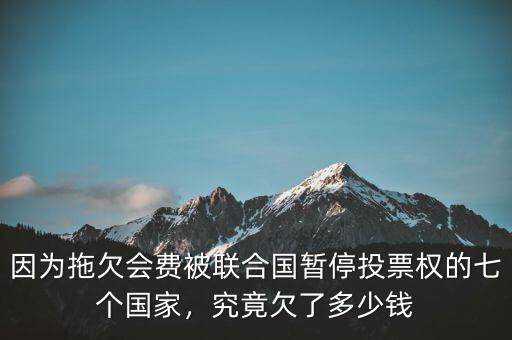 因為拖欠會費被聯(lián)合國暫停投票權(quán)的七個國家，究竟欠了多少錢