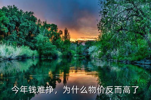 今年錢難掙，為什么物價反而高了
