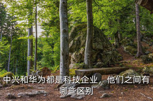 中興和華為都是科技企業(yè)，他們之間有哪些區(qū)別